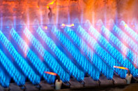 Rockrobin gas fired boilers